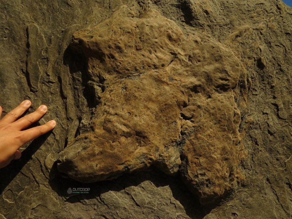 Pegadas de Dinossauros no Cabo Mondego