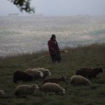 Serra da Freita Shepherds, ancient practice
